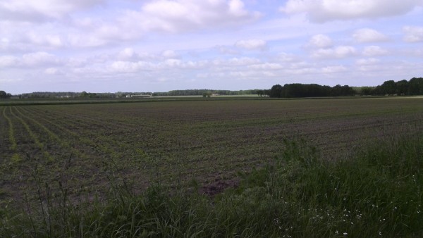 Das Klünenmoor 2013 Das Klünenmoor 2013